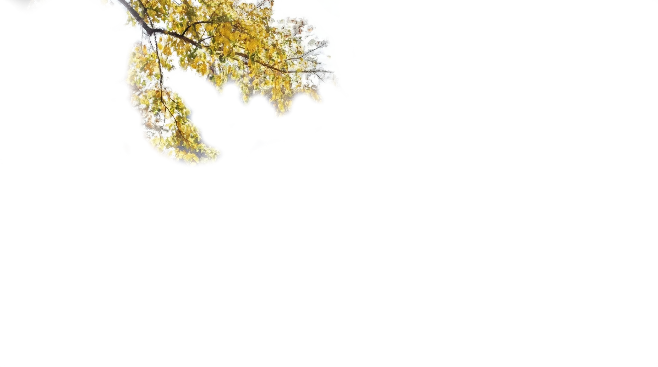 Foreground branch